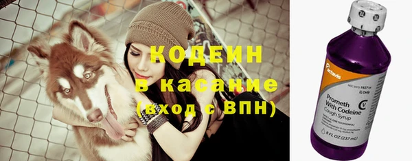 стафф Осинники