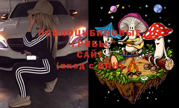 PSILOCYBIN Остров
