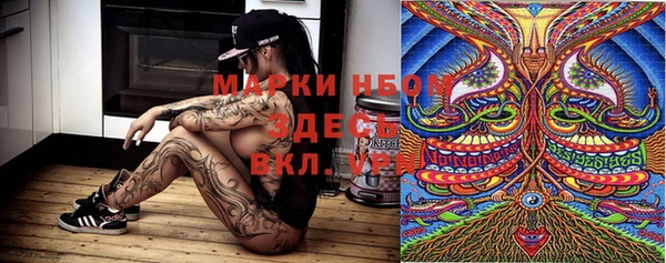 стафф Осинники