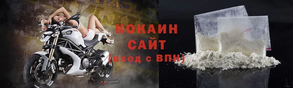 стафф Осинники