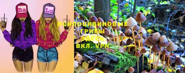 Альфа ПВП Няндома