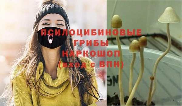 PSILOCYBIN Остров