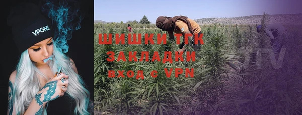 стафф Осинники