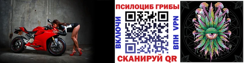 Галлюциногенные грибы Magic Shrooms  Ужур 